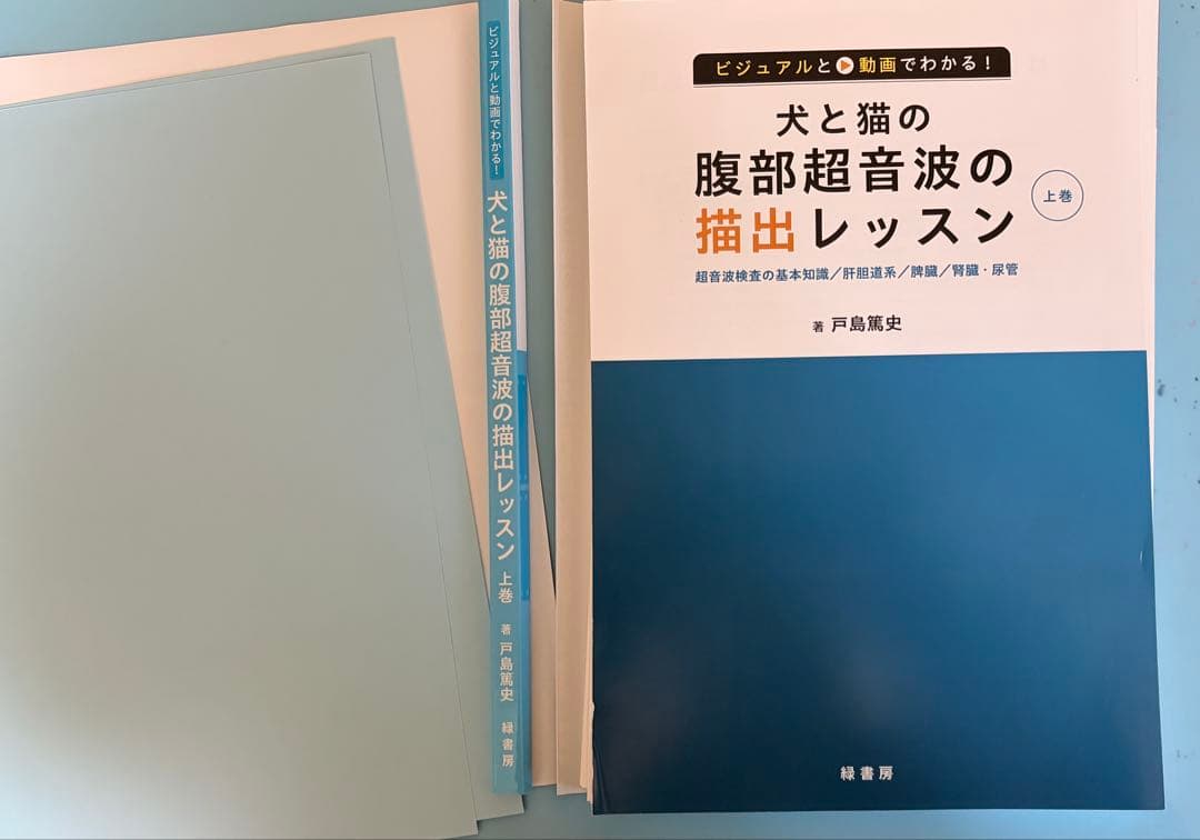 ビジュアルと動画でわかる！犬と猫の腹部超音波の描出レッスン上巻視聴できる動画付き