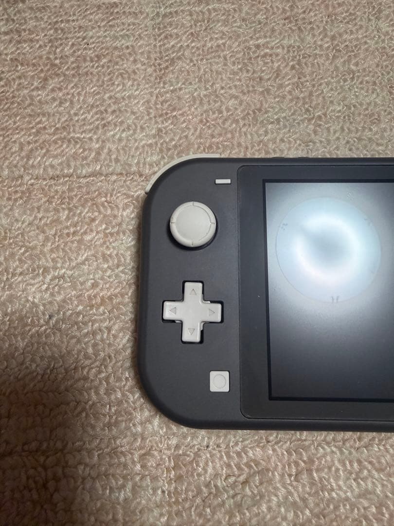 Nintendo Switch lite グレー ケース付き