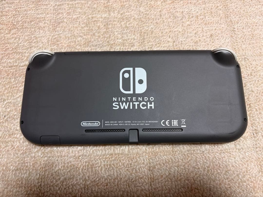 Nintendo Switch lite グレー ケース付き