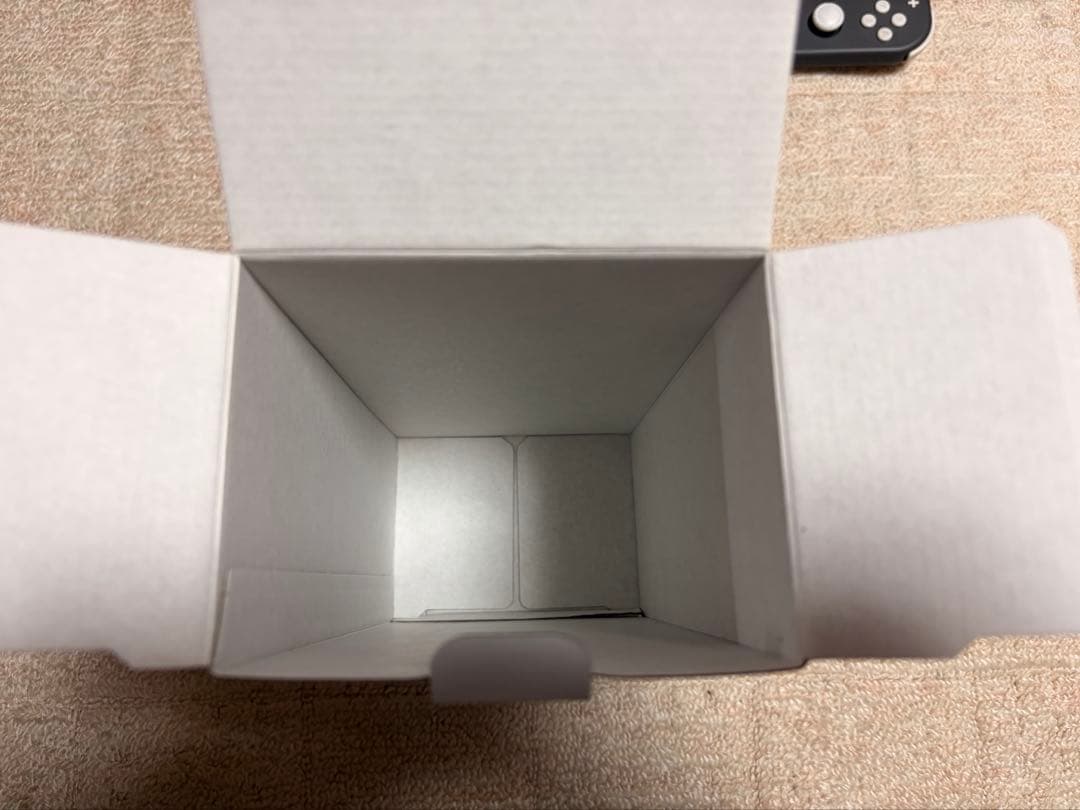 Nintendo Switch lite グレー ケース付き