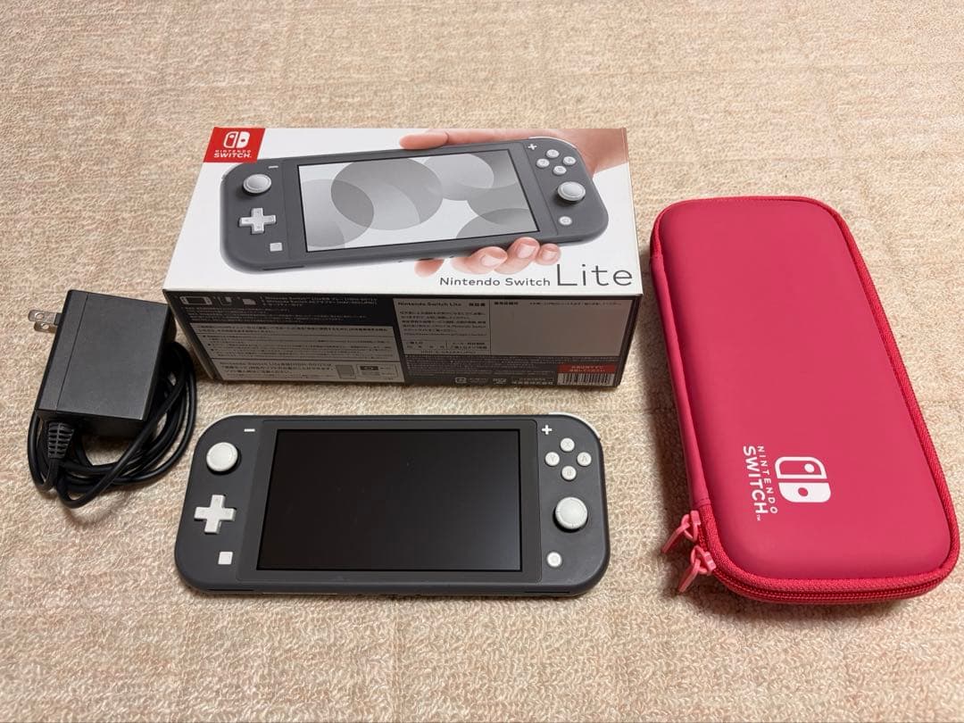 Nintendo Switch lite グレー ケース付き