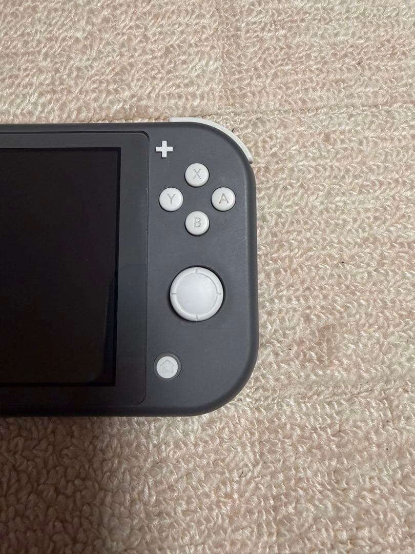 Nintendo Switch lite グレー ケース付き