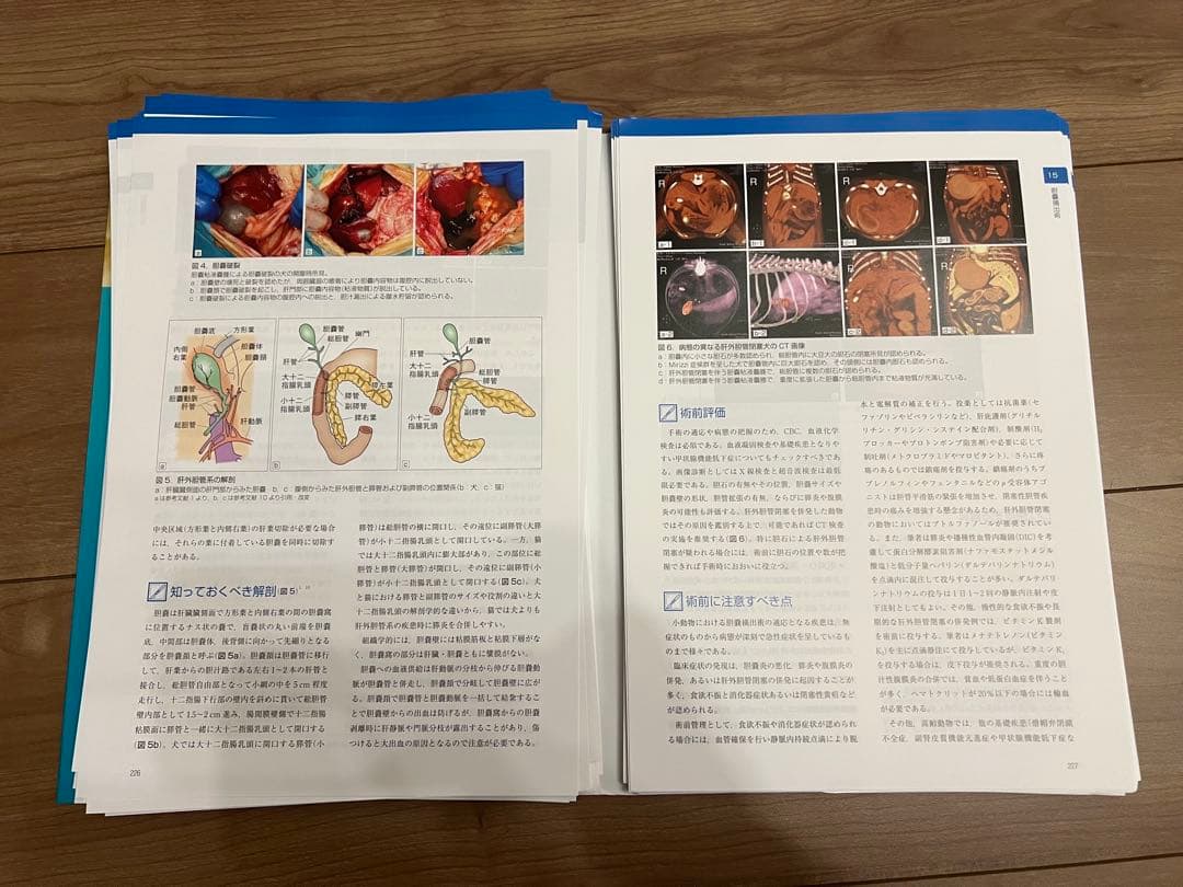 【裁断済み】犬と猫の軟部外科 基礎知識と手術法