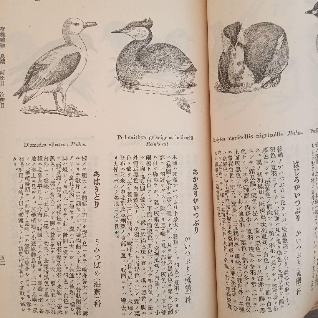 昭和4年発行　日本動物図鑑