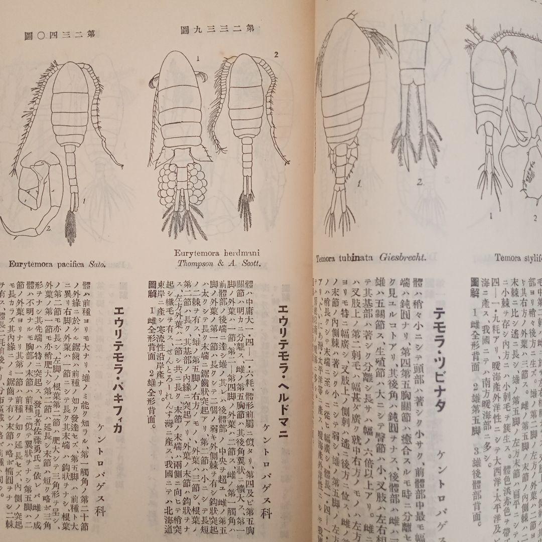昭和4年発行　日本動物図鑑