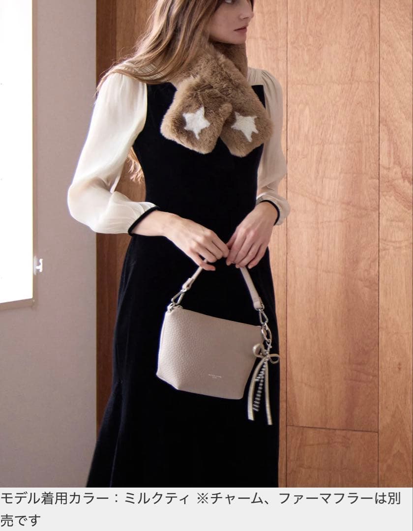 美品♡ サロンドアルファード　バルケ2Wayポシェット　シュリンク型押しレザー