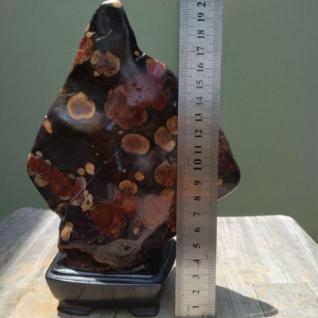 み*み様 牡丹石、菊化石、紅白梅花。