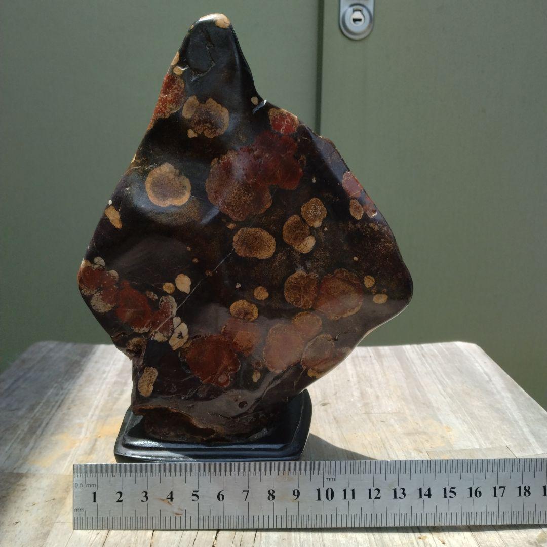 み*み様 牡丹石、菊化石、紅白梅花。