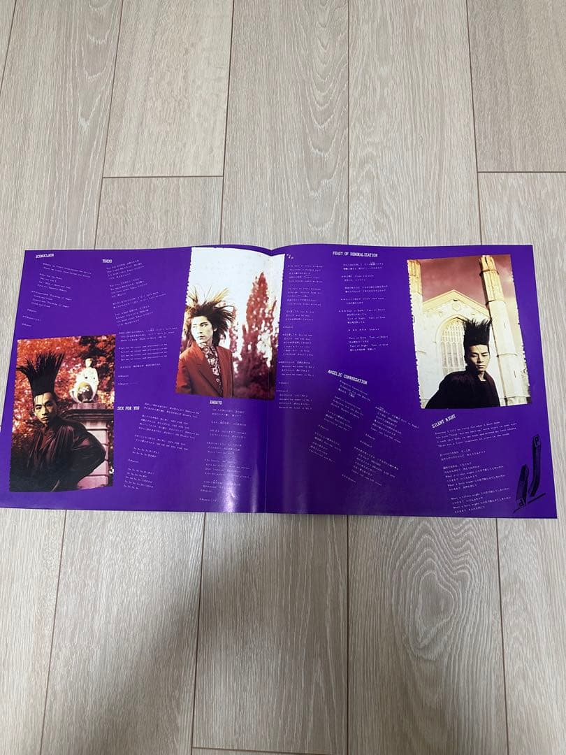 【美品】BUCK-TICK TABOO レコードピクチャー盤