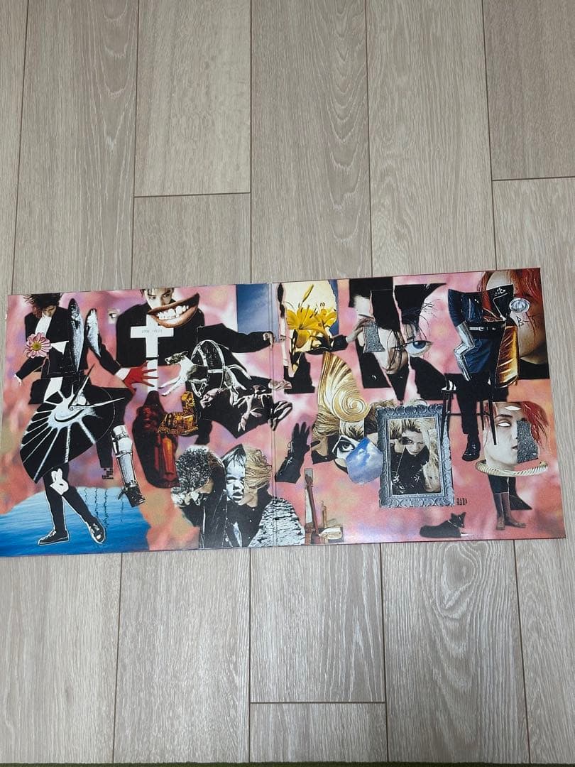 【美品】BUCK-TICK TABOO レコードピクチャー盤