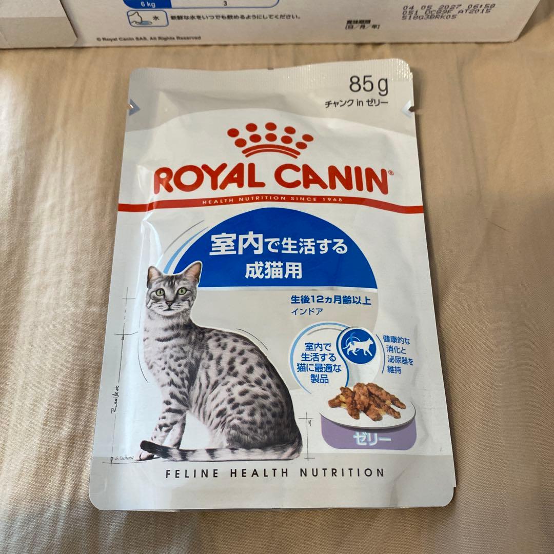 CANIN 猫　ウェット　85g12袋×４箱　インドア　ゼリー