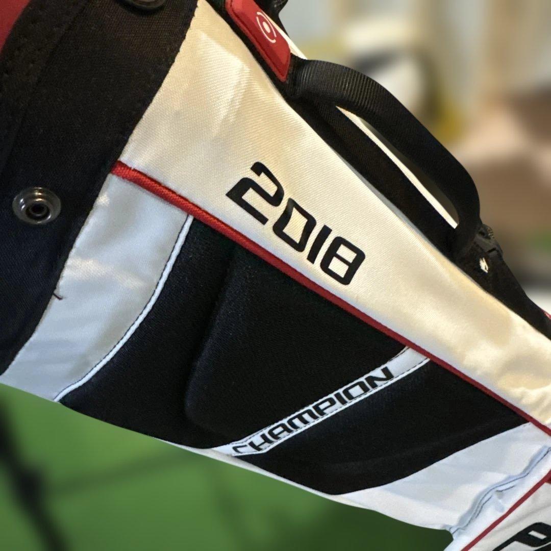 PING スタンドキャディバック中古美品