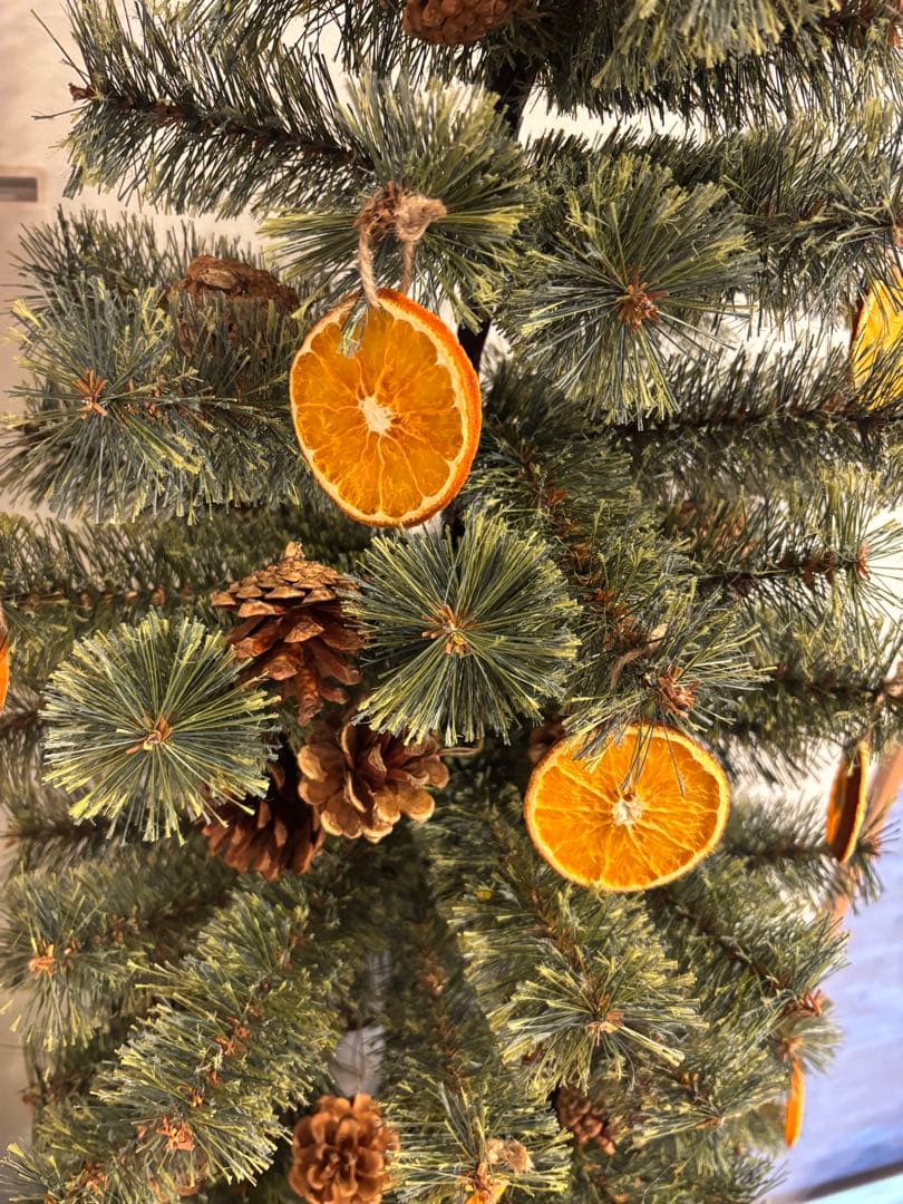 プロフィールお読みください