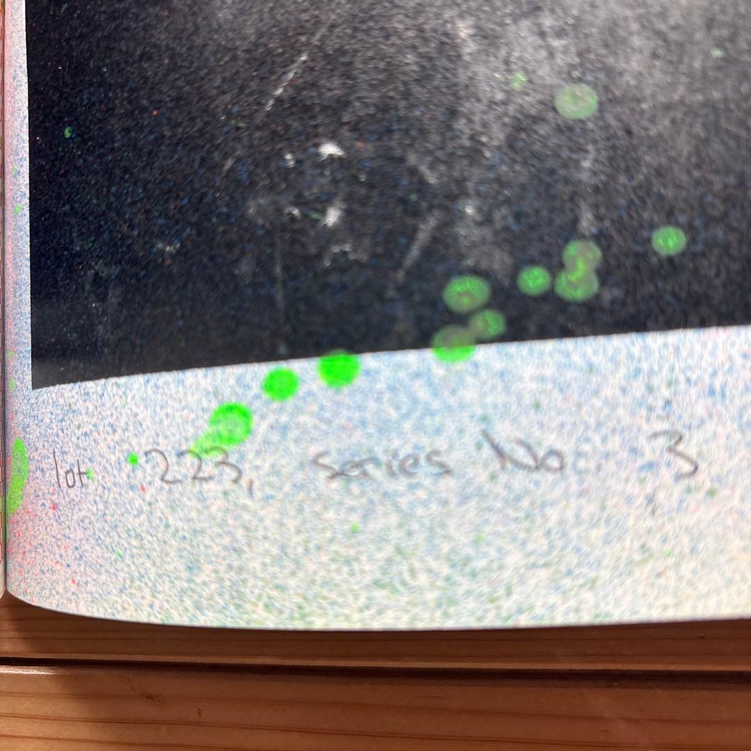 DESTROY ALL MONSTERS Geisha Thisソノシート付