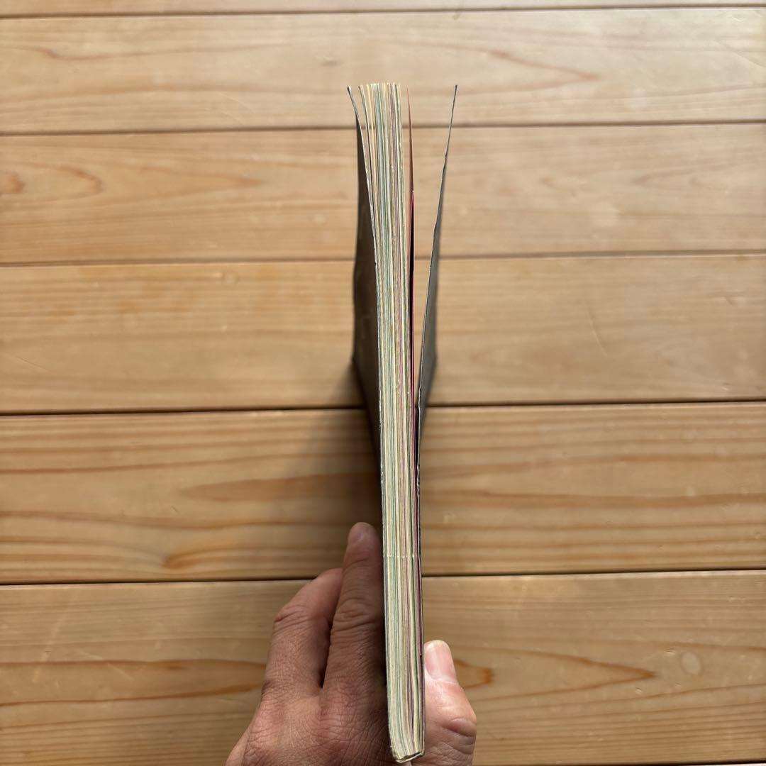 DESTROY ALL MONSTERS Geisha Thisソノシート付