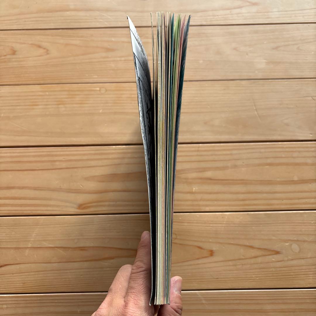 DESTROY ALL MONSTERS Geisha Thisソノシート付