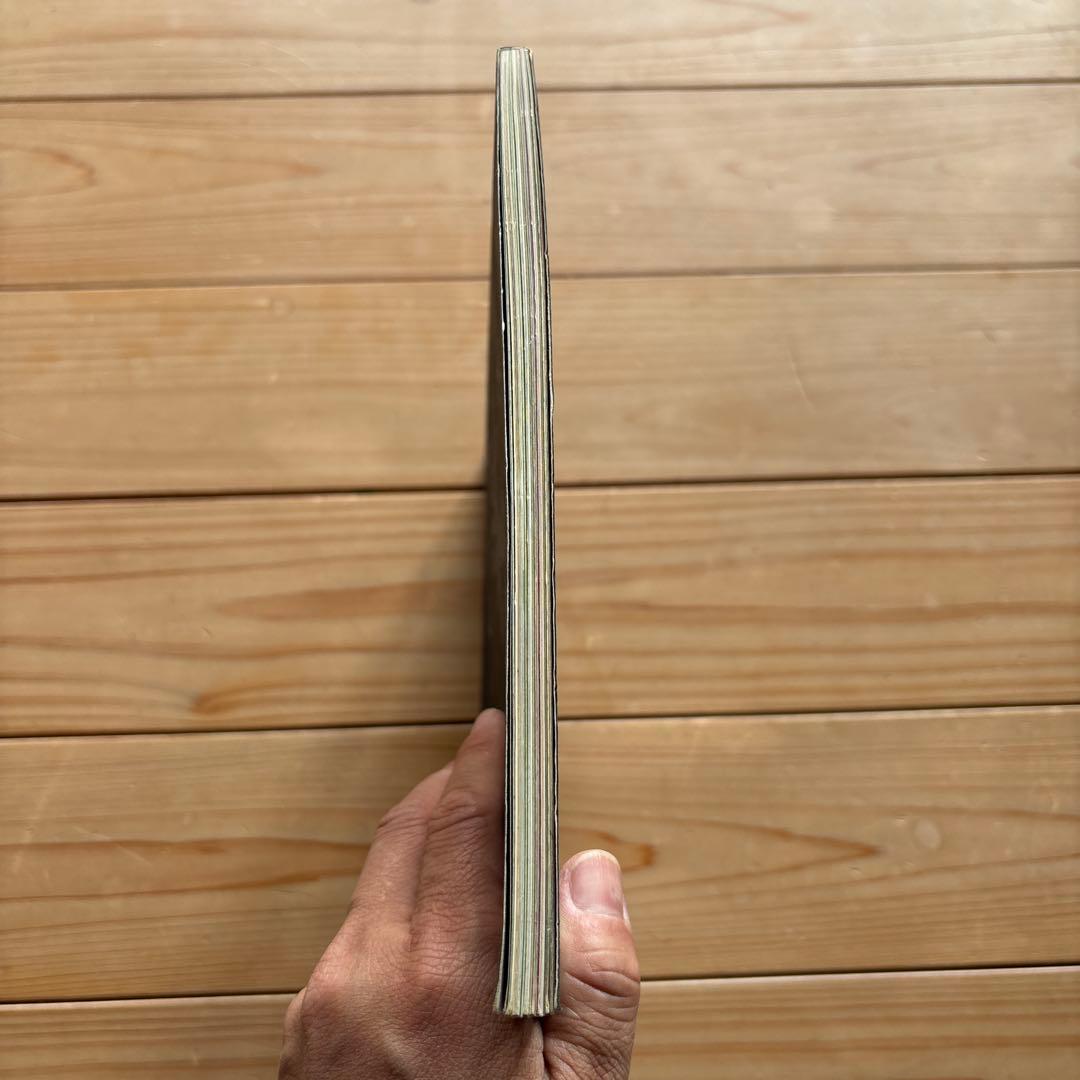 DESTROY ALL MONSTERS Geisha Thisソノシート付