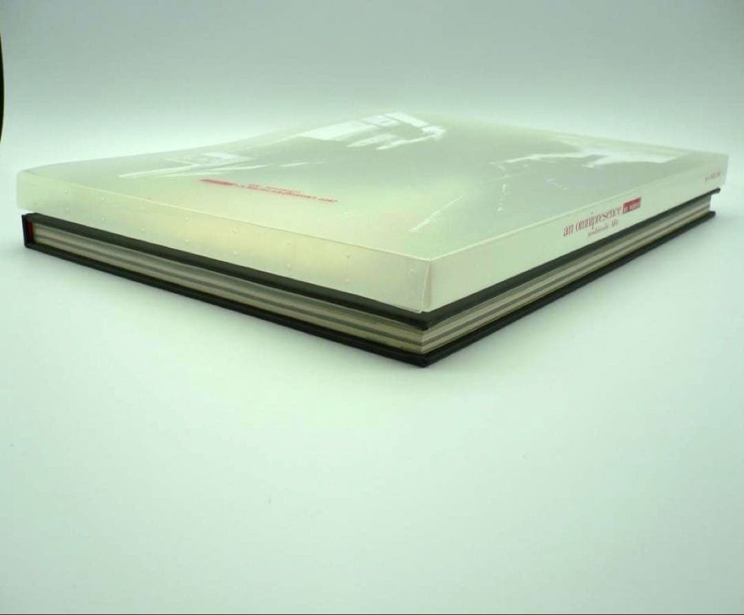 Serial experiments lain 画集 初版 2冊セット 稀少