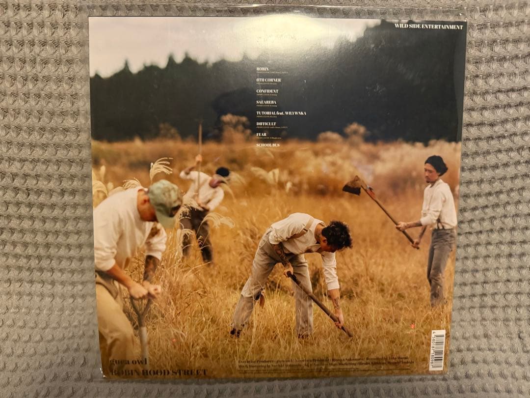 Guca owl レコード ROBIN HOOD STREET