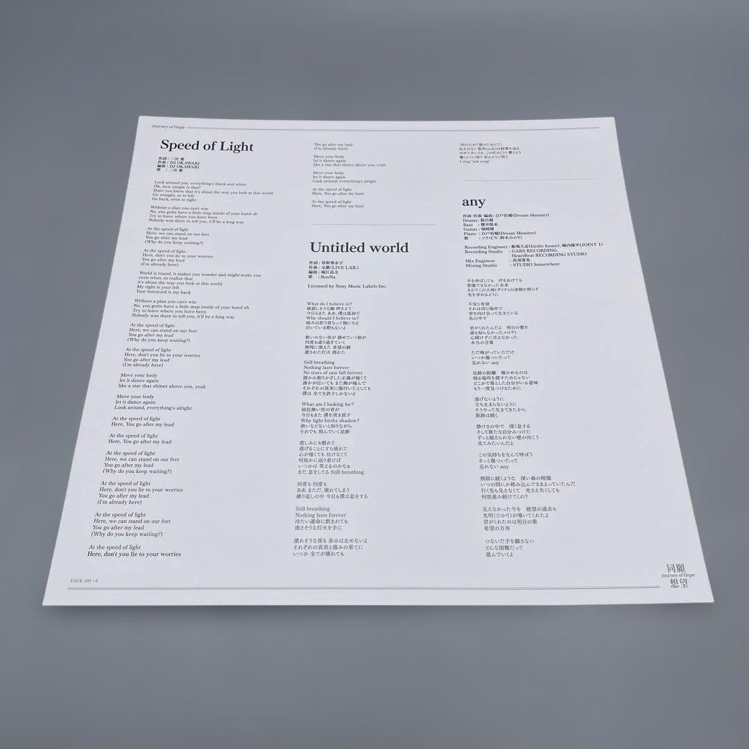 アークナイツ 2周年記念アナログレコード 同願想望 LP 2枚組