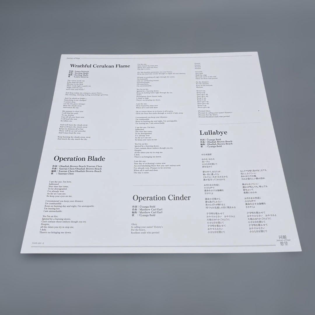 アークナイツ 2周年記念アナログレコード 同願想望 LP 2枚組