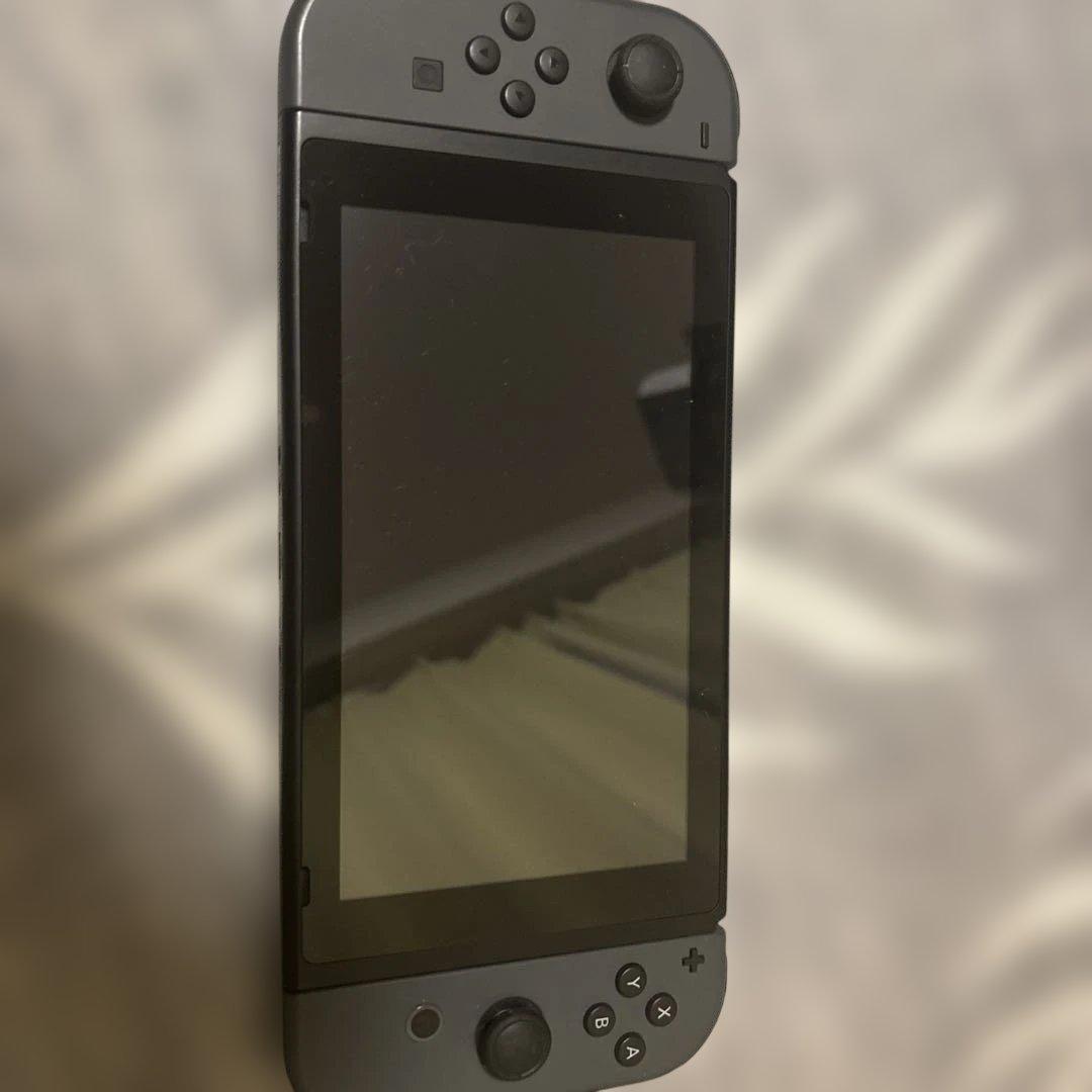 Nintendo Switch MHダブルクロススペシャルパック+プロコン2個