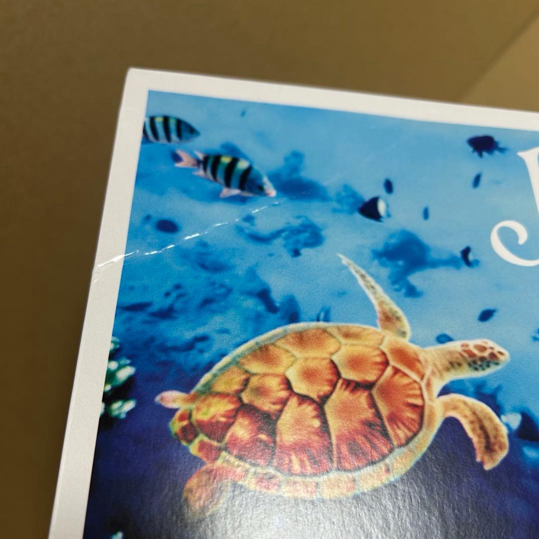 【椎名林檎 参加】 冨田ラボ / Joyous 2LP+7inch レコード