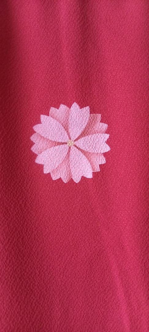 振袖セット 赤色 168cm着用