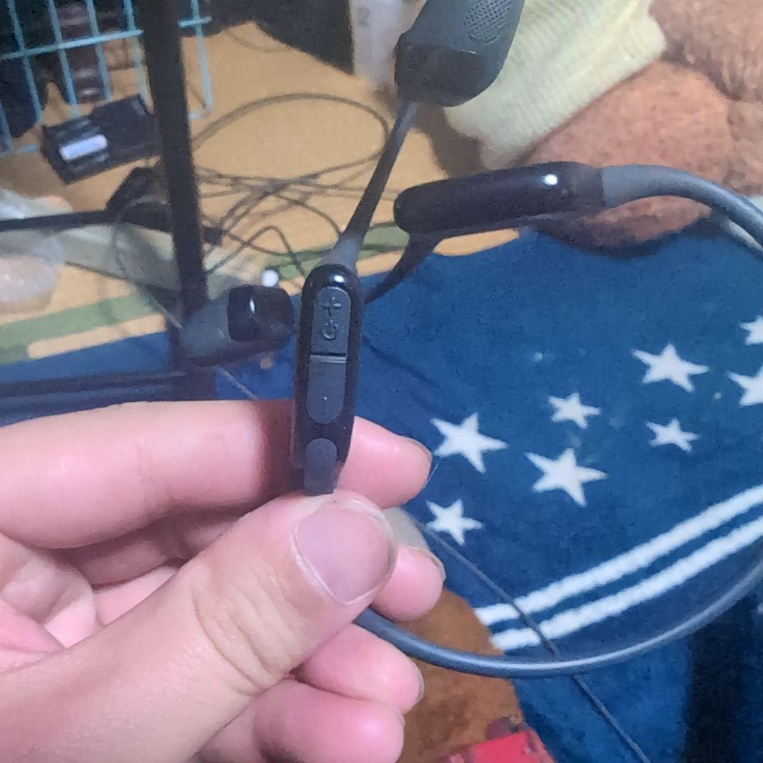 イヤホン Shokz openrun pro2