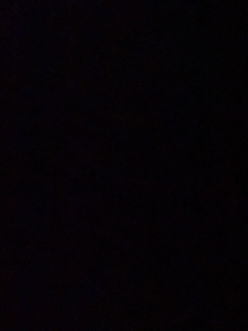 60s 〜70s バトウィン製スタジャン　40