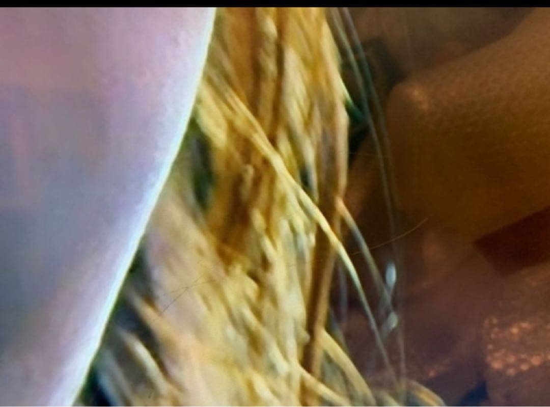 ソニー 55V型 4K対応 液晶 テレビ ブラビアKJ-55X8500F