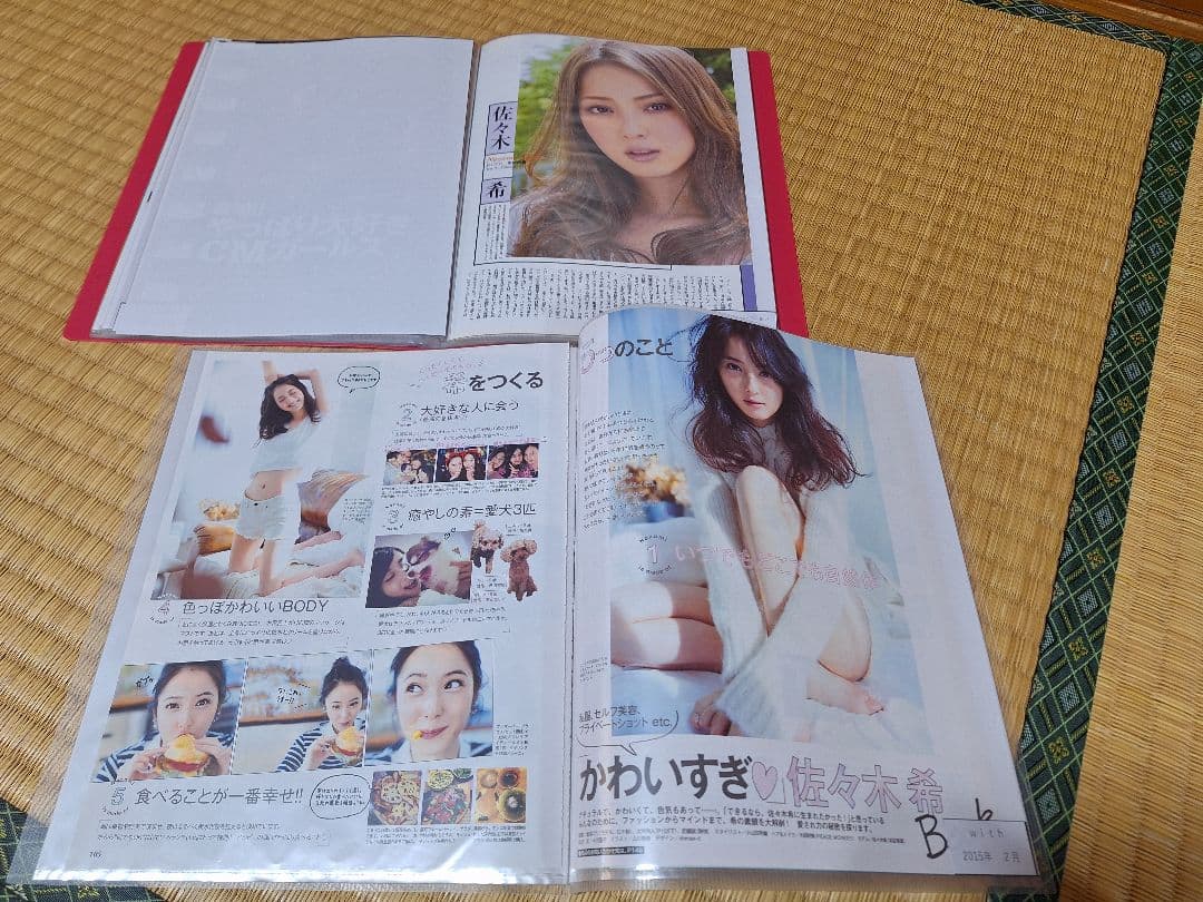 佐々木希(1冊200円計算)42冊分100ページ切り抜きしファイリング済み