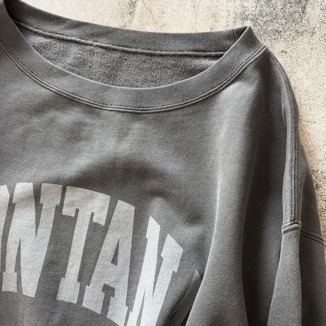 タグ類無 Whim Gazette ピグメントロゴウラケプルオーバー DG