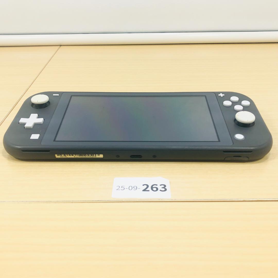 [動作OK] Nintendo Switch Lite グレー 本体 9-263