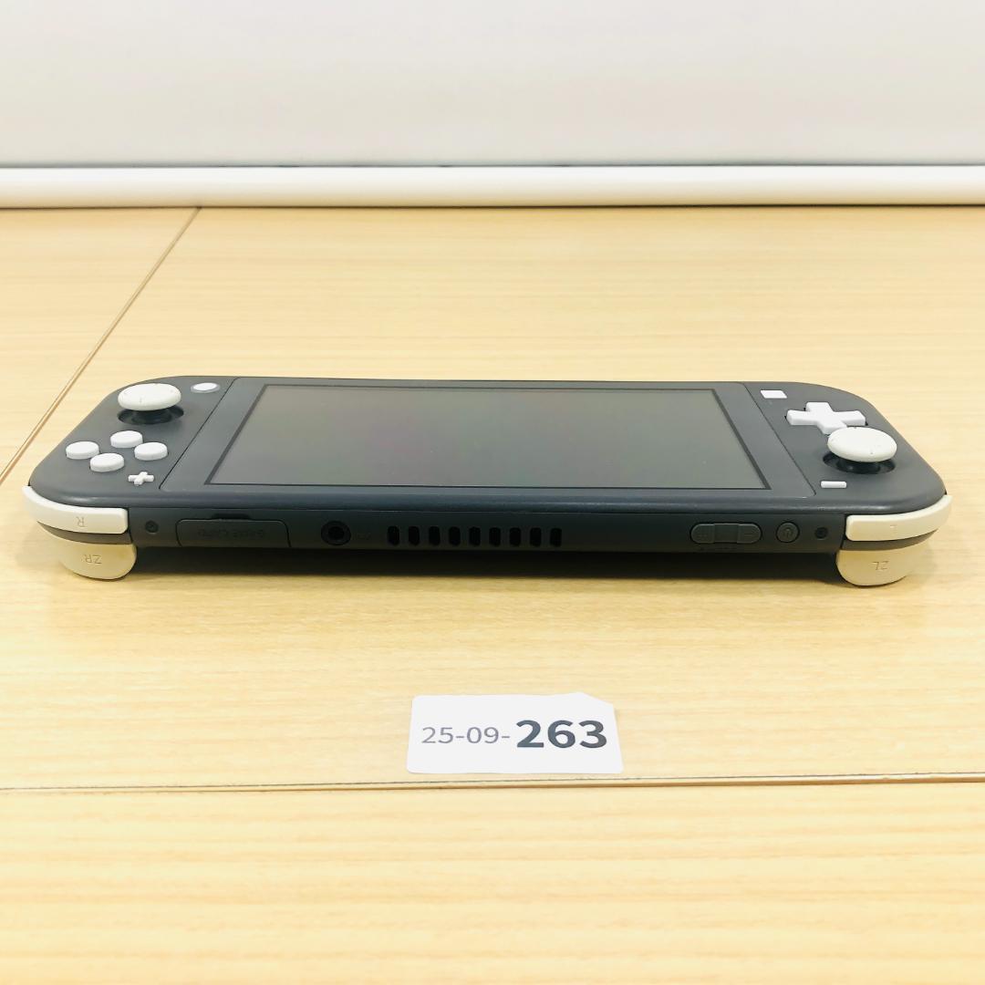 [動作OK] Nintendo Switch Lite グレー 本体 9-263