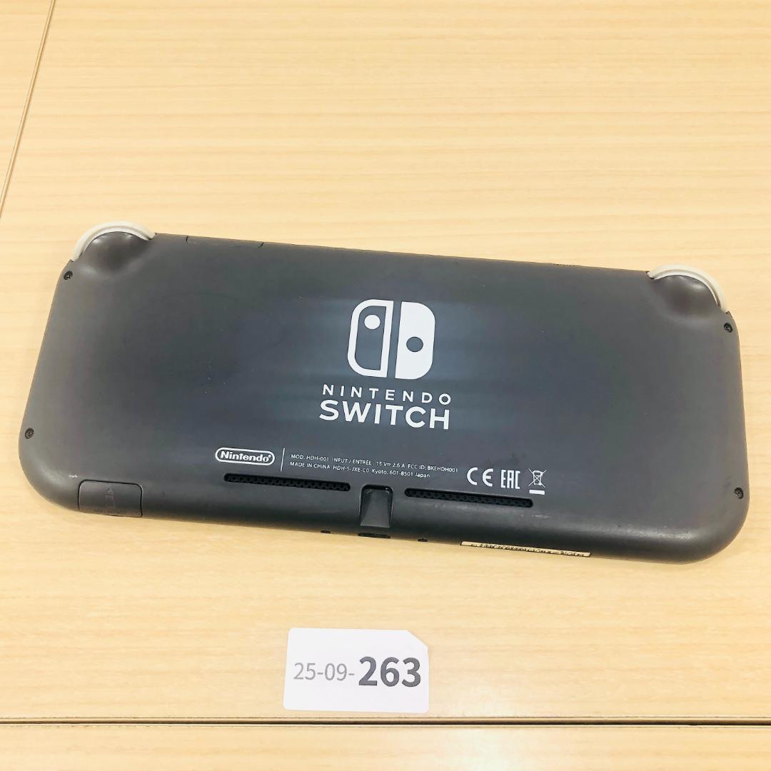 [動作OK] Nintendo Switch Lite グレー 本体 9-263