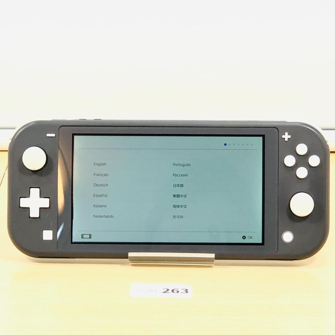 [動作OK] Nintendo Switch Lite グレー 本体 9-263