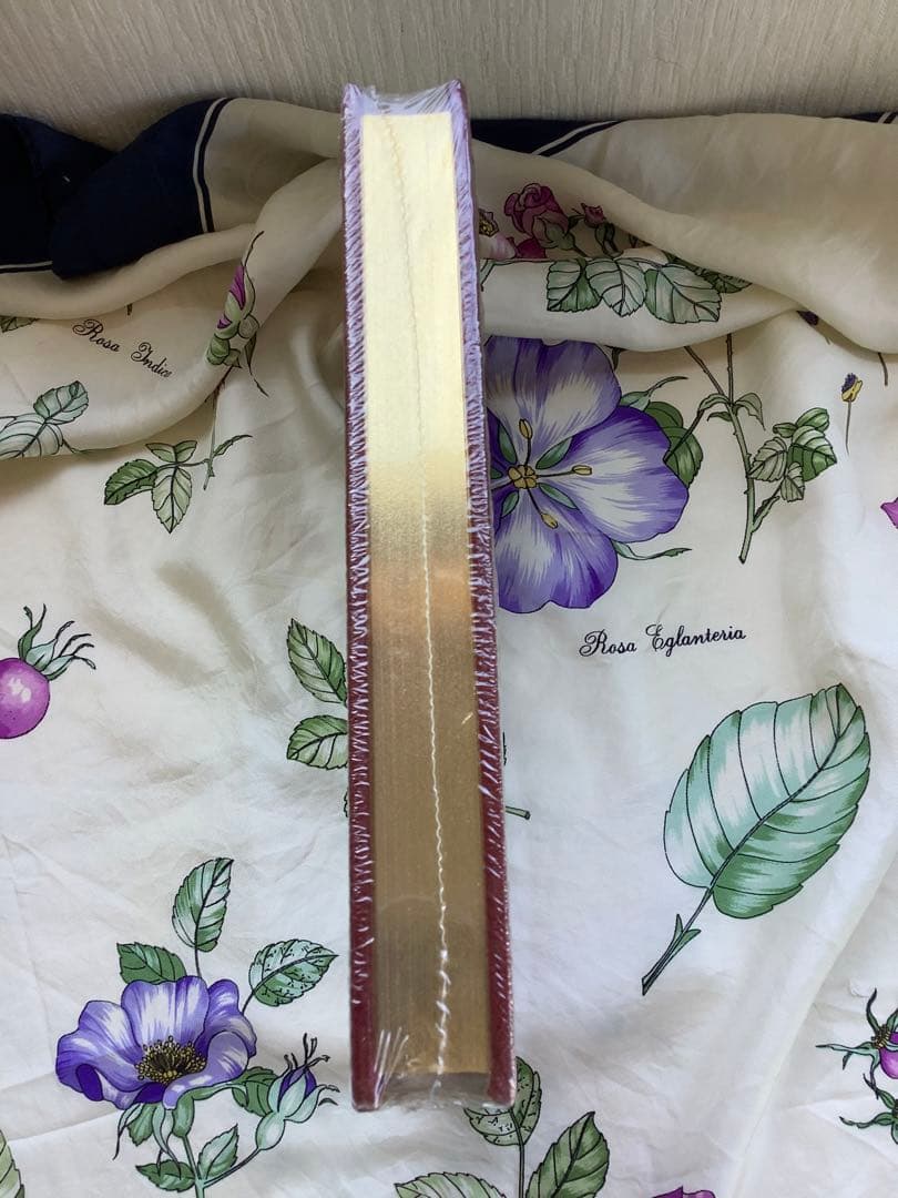 緋文字The Scarlet Letter Nathaniel Hawthorn