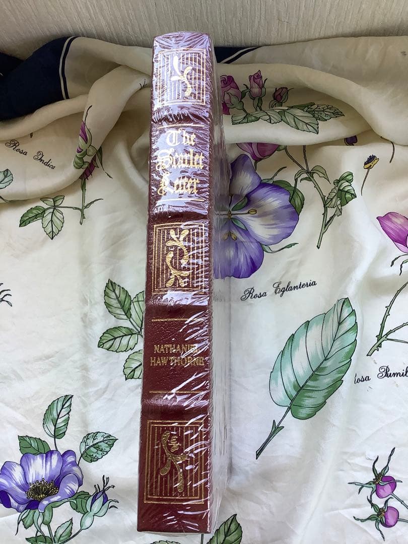 緋文字The Scarlet Letter Nathaniel Hawthorn