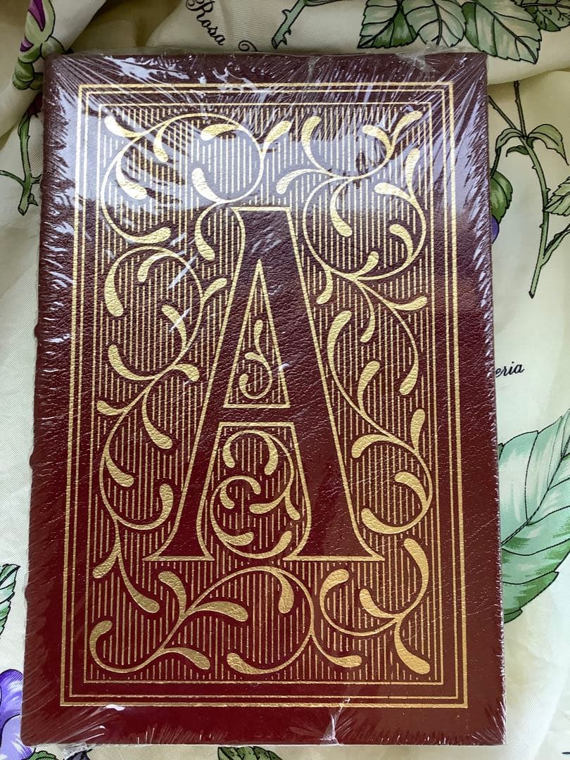 緋文字The Scarlet Letter Nathaniel Hawthorn