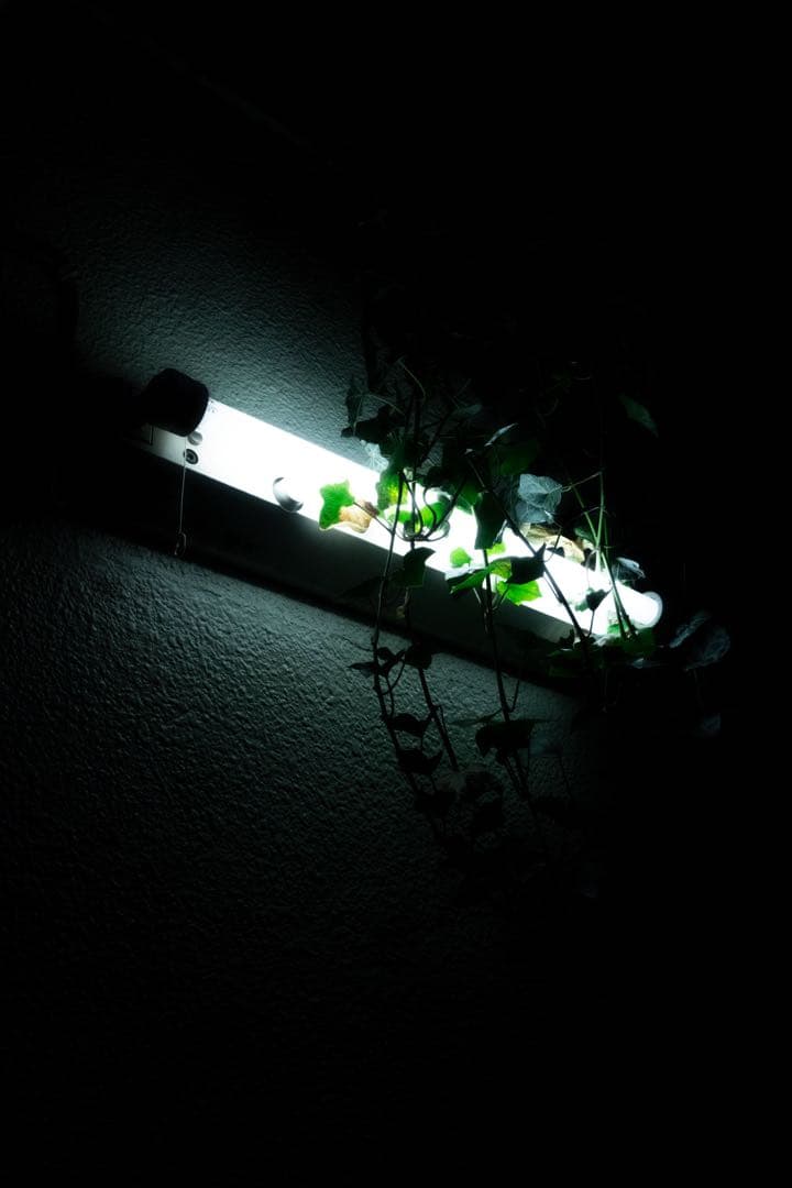 富士フイルム XF 18-135mm F3.5-5.6 ズームレンズ