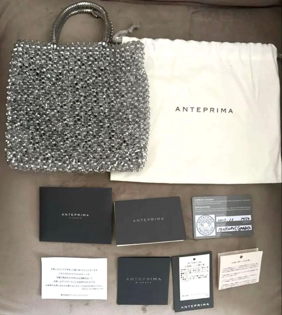 【美品】ANTERRIM スタンダード　ミニアトゥーラ　シルバー