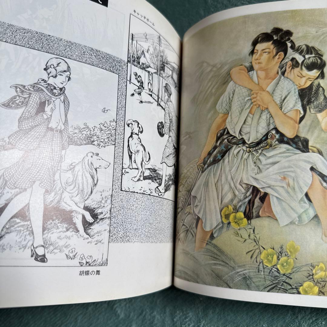 画家の肖像 高畠華宵の伝記と作品 ビンテージ　本　古本　沖積舎