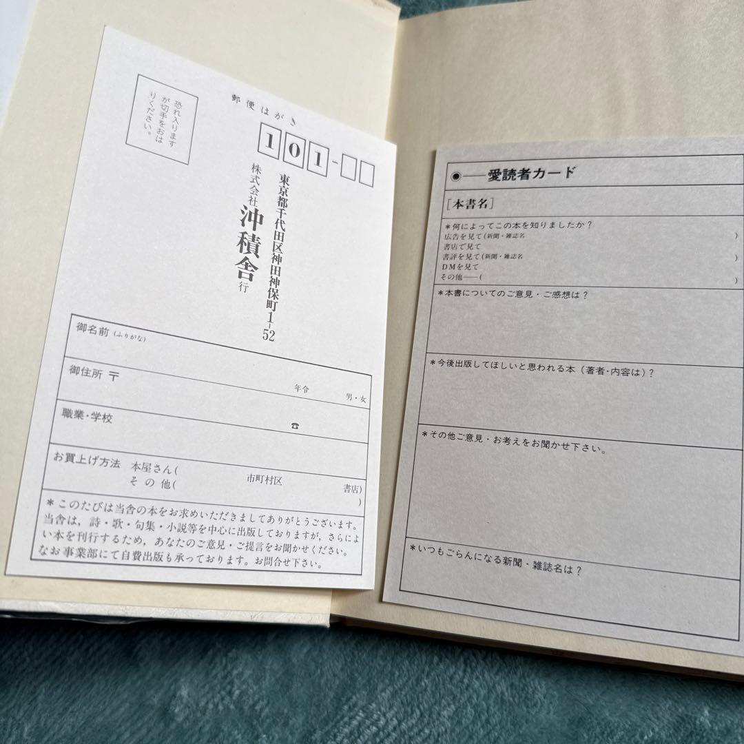 画家の肖像 高畠華宵の伝記と作品 ビンテージ　本　古本　沖積舎