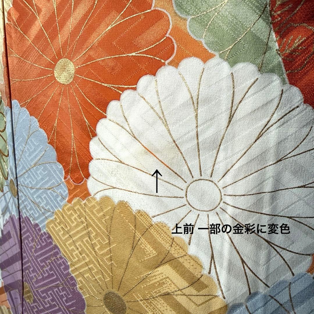 振袖５点セット　セミアンティーク　菊模様　西陣織袋帯　成人式　161.5cm位迄