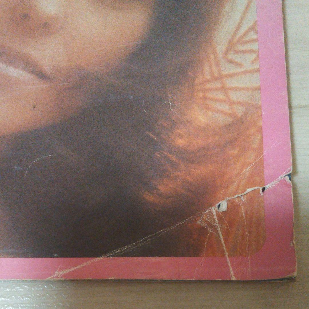 宝物♪今は幻の商品カーペンターズパンフレット