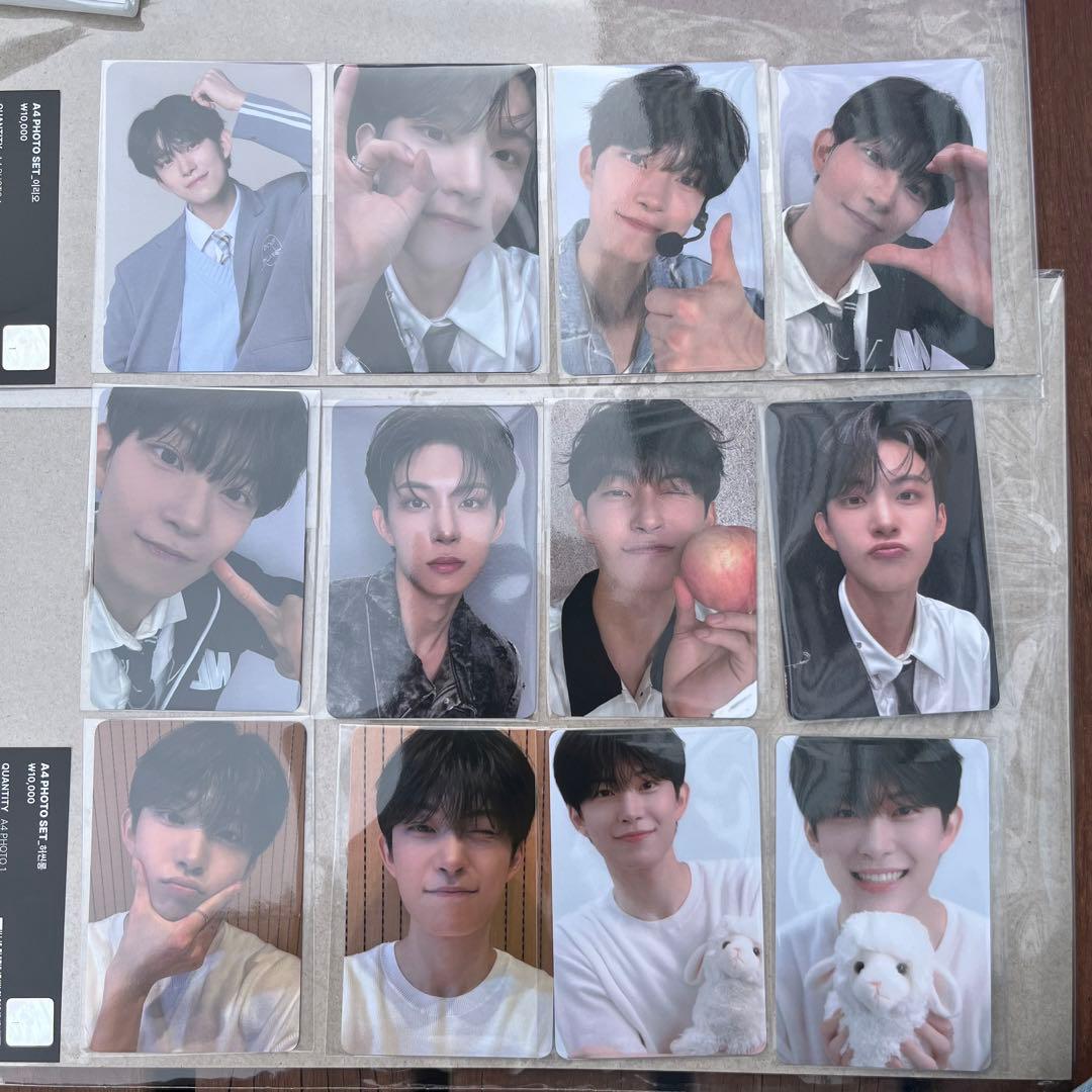 ボイプラ アーカイブ展 韓国 ゴヌ トレカ 12枚セット コンプ