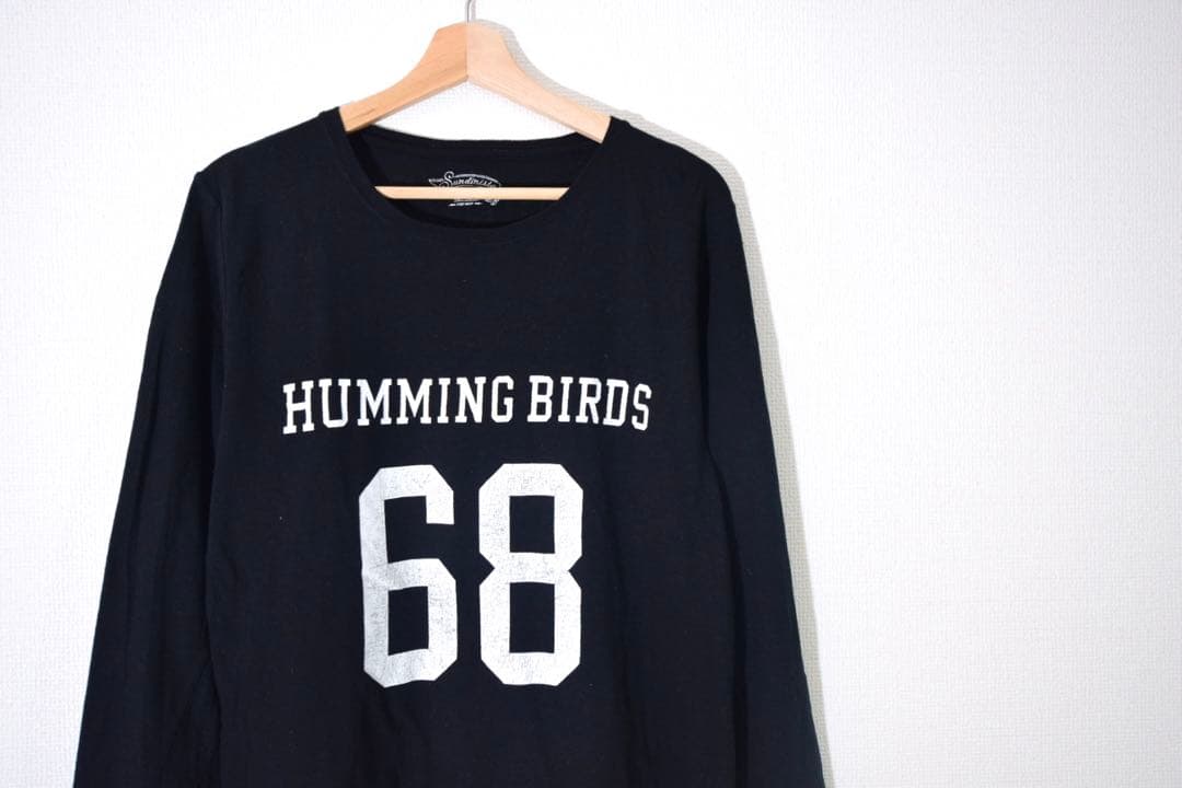 【美品】SUNDINISTA EXPERIENCE HUMMING BIRDS