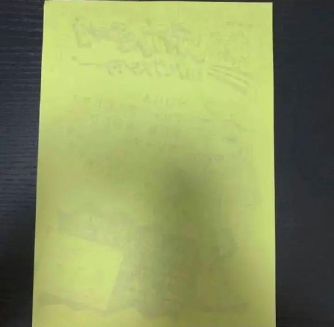 スピッツ　インディーズ時　フライヤー