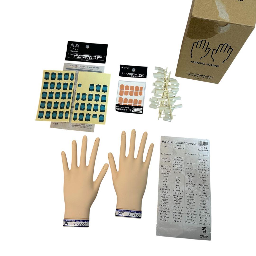 STモデルハンド　認定モデルハンド　ネイル